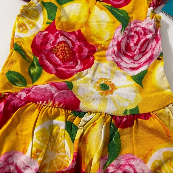 🍋NWT Posh Peanut Annika Ruffled Cap Sleeve Twirl Skirt Bodysuit size 3-6 months - Picture 3 of 6